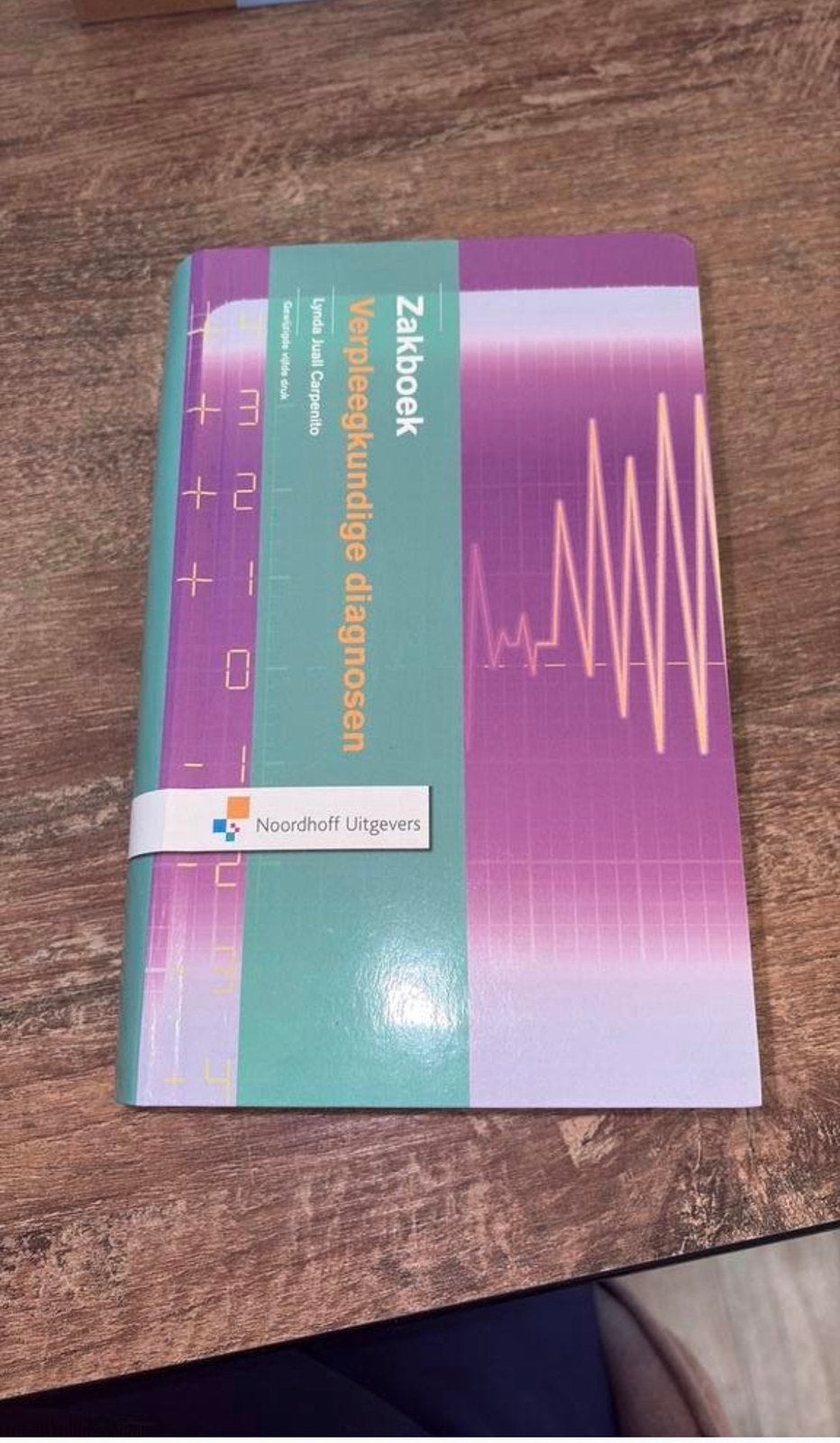 Bieden- zakboek verpleegkundige diagnosen, Boeken, Ophalen of Verzenden, Nieuw
