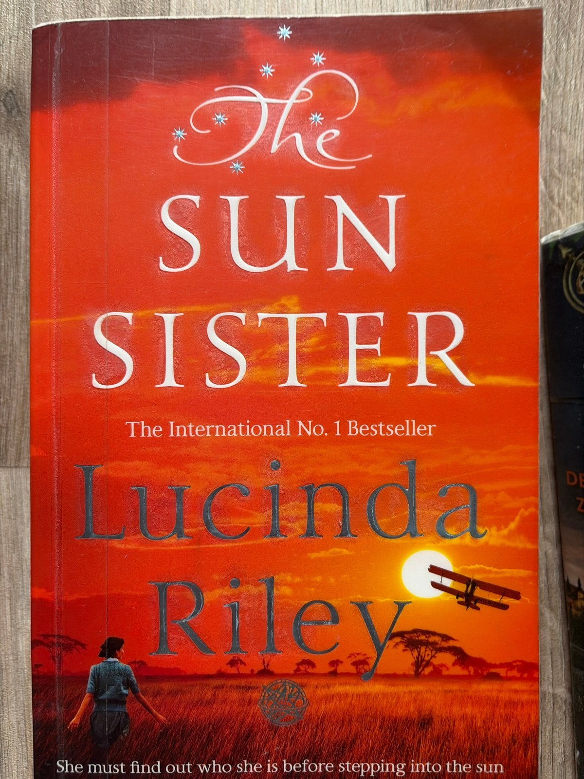 De Zeven Zussen: Maan & The Sun Sister - Lucinda Riley, Boeken, Ophalen of Verzenden, Gelezen, Europa overig