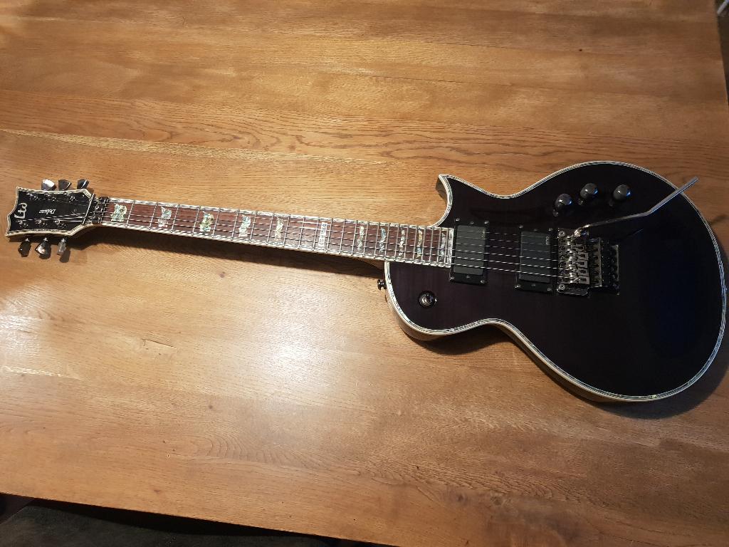 ESP LTD Deluxe EC 1000 EMG met Floyd Rose tremolo, Muziek en Instrumenten, Ophalen, Zo goed als nieuw, Solid body, Overige merken