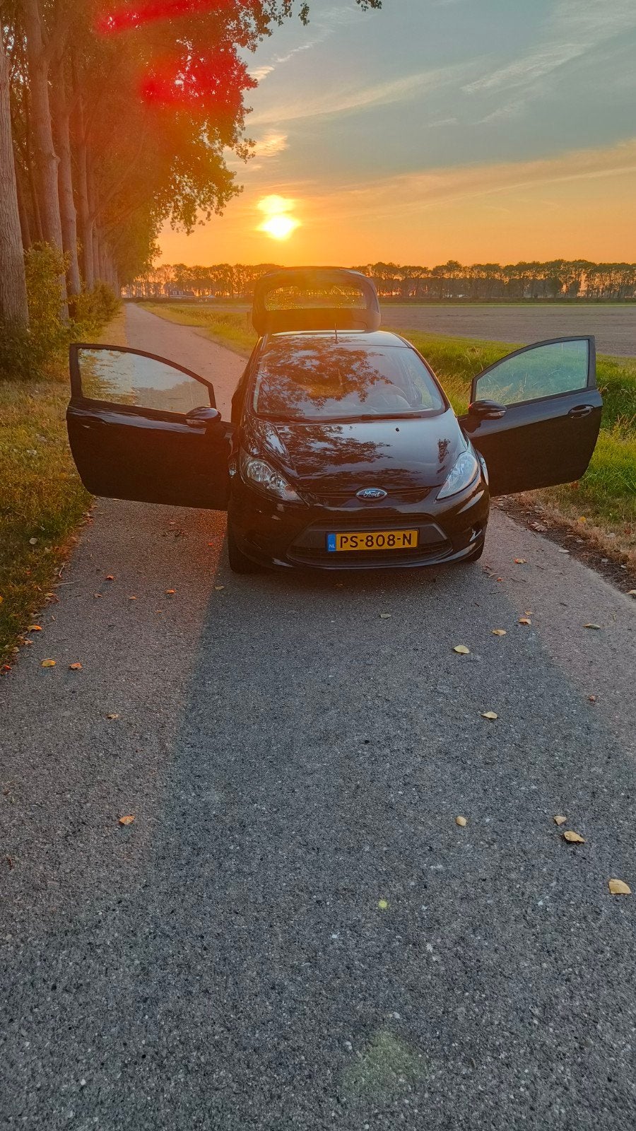 Ford Fiësta 1.25 60KW 3DR 2010 Zwart, Voorwielaandrijving, 600 kg, 4 cilinders, Zwart