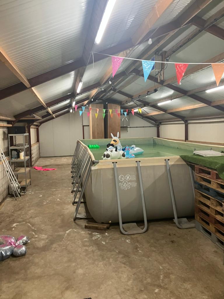 Groot Intex Opzetzwembad - Ideaal voor de zomer!, 120 cm of meer, Gebruikt, 300 cm of meer, Ophalen of Verzenden