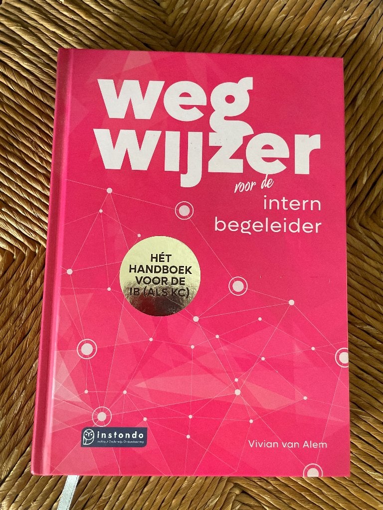 Wegwijzer voor de internbegeleider, Vivian van Alem, Verzenden, Nieuw, HBO