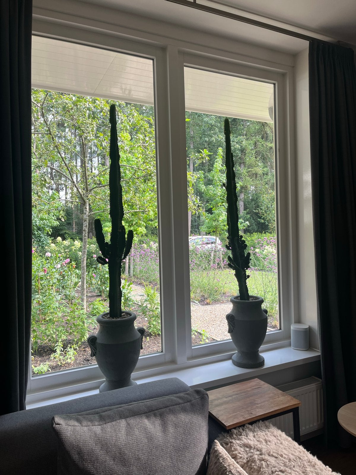 Cactussen in pot, 2 stuks!, Ophalen, Gebruikt, Met handvat, Grijs