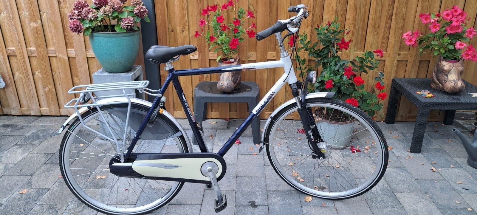 Raleigh fiets in zeer goede staat - framemaat 61cm, 56 cm of meer, Ophalen, Zo goed als nieuw, Overige merken