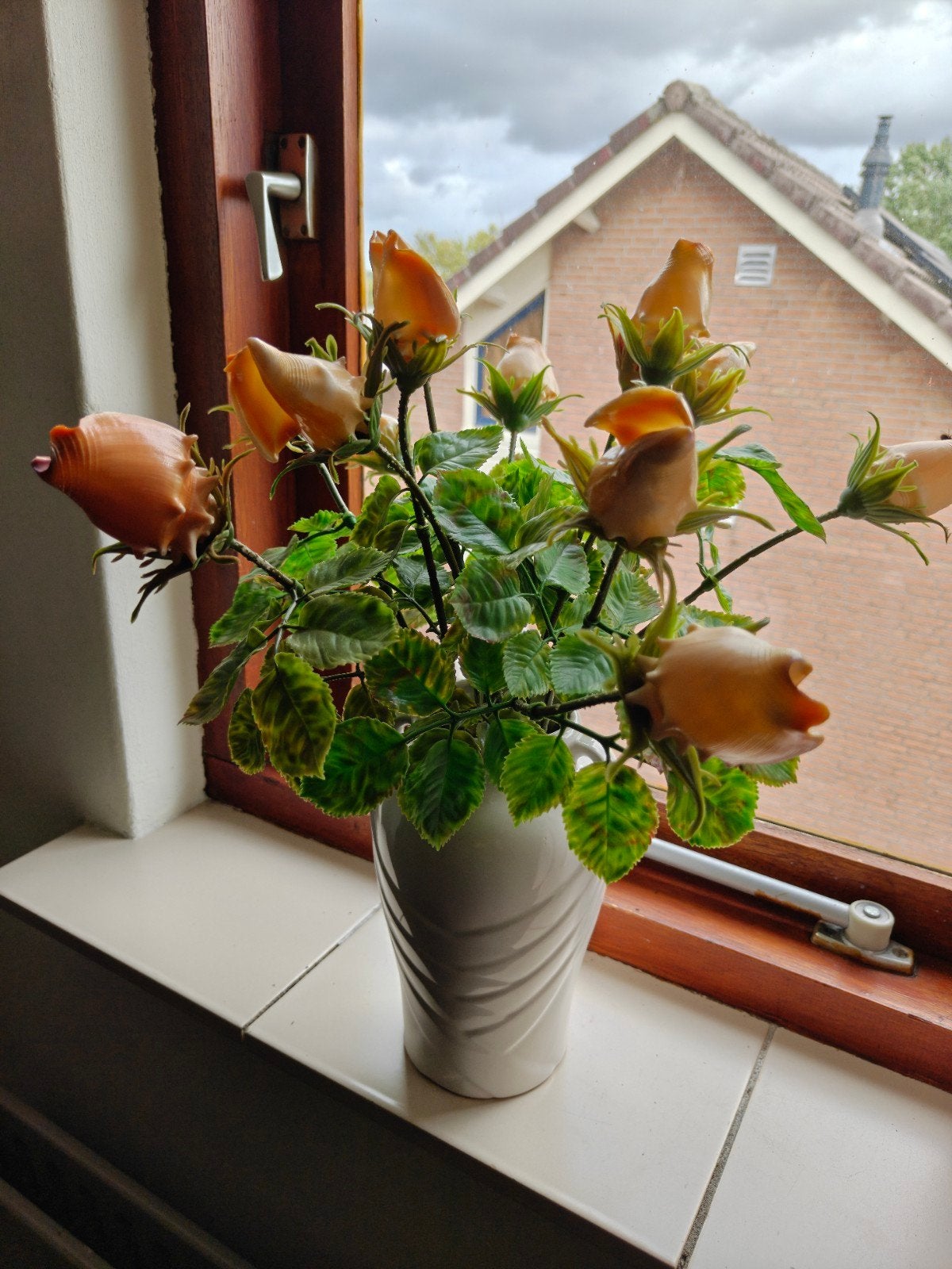 Decoratieve bloemen in vaas - schelpenrozen, Ophalen