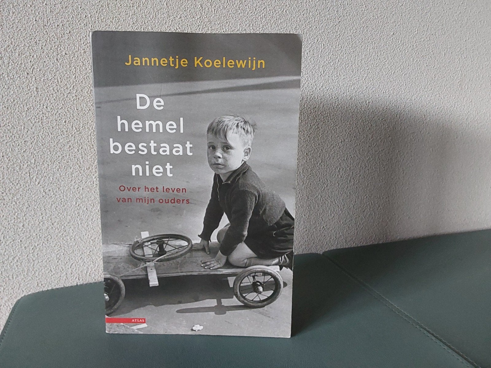 De Hemel bestaat niet / Jannetje Koelewijn, Ophalen of Verzenden, Gelezen, Jannetje Koelewijn, Christendom | Protestants