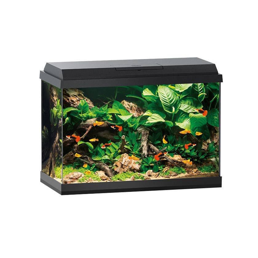 JUWEL Aquarium Primo LED zwart 70 L, 61x31x44 cm, Ophalen, Zo goed als nieuw, Leeg aquarium