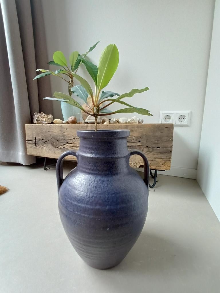 Madagascar jewel in donkerblauwe / paars vaas met handvatten, Ophalen, Minder dan 100 cm