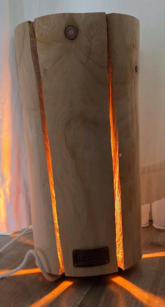 LEDR boomstam lamp, Ophalen of Verzenden, Zo goed als nieuw, Hout, 150 tot 200 cm