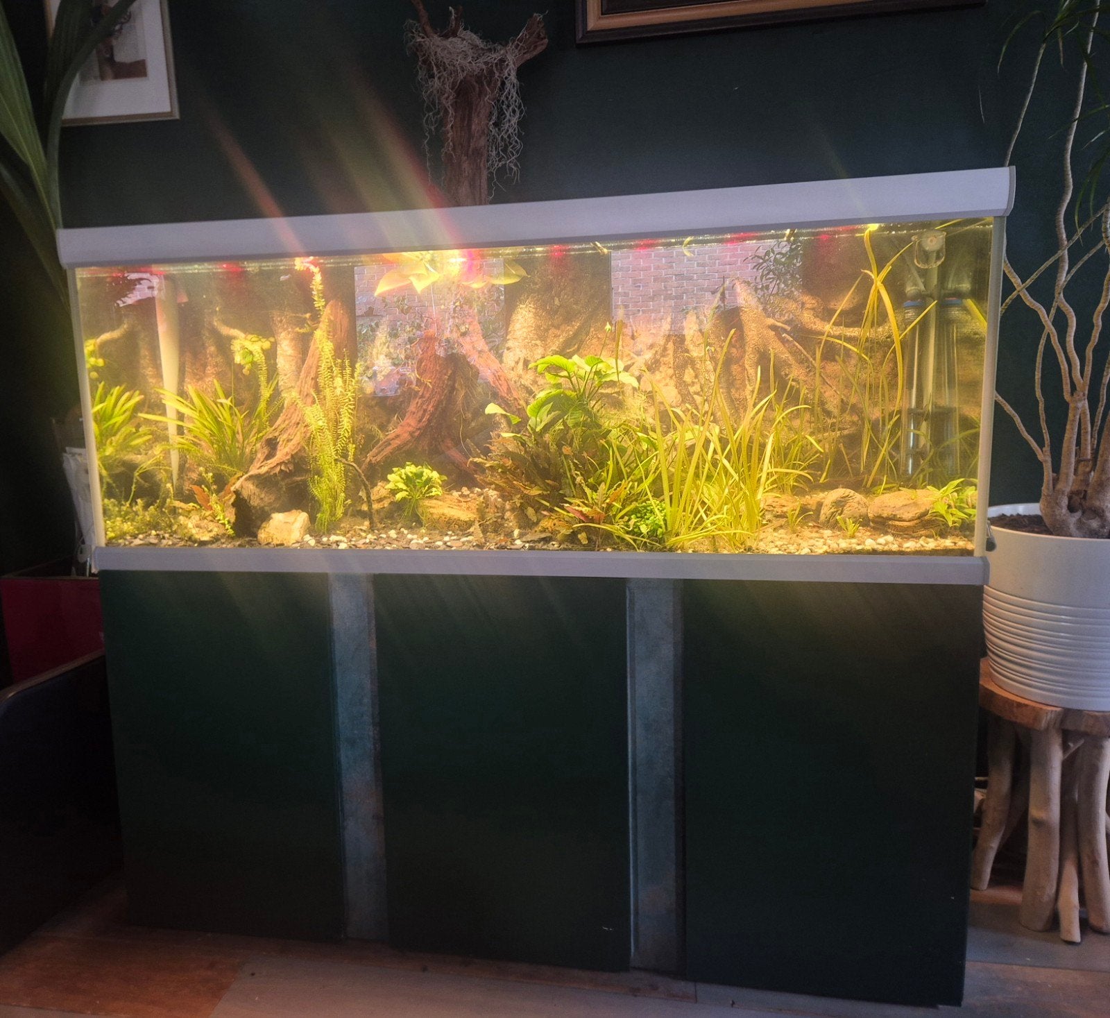 Aquarium Compleet 160×61×64, Ophalen, Overige merken, Inclusief vissen, Gevuld zoetwateraquarium