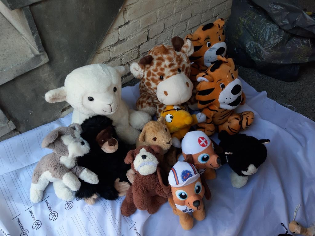 Pluche, Honden, Beren, Apen, Koala’s, Pinguïns, etc. 40 stuk, Ophalen, Konijn, Zo goed als nieuw, Middelgroot (20 tot 80 cm)