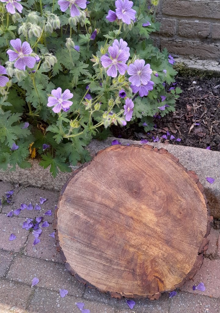 ~ Boomstam Boomschijf Houten Schijf, Ophalen of Verzenden, Zo goed als nieuw, Bruin, Hout