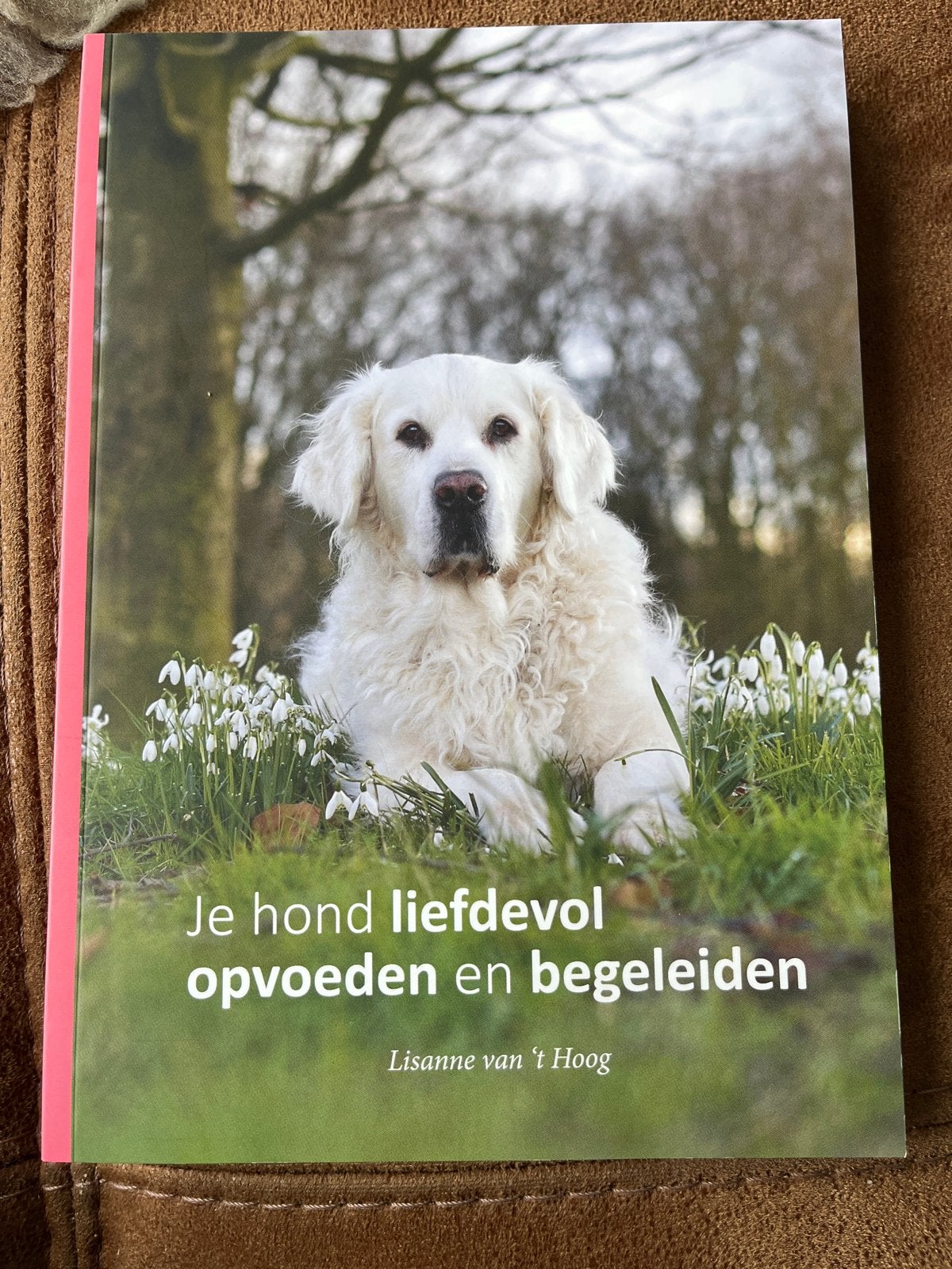 Je hond liefdevol opvoeden en begeleiden - Lisanne van 't Ho, Boeken, Ophalen of Verzenden, Zo goed als nieuw, Honden