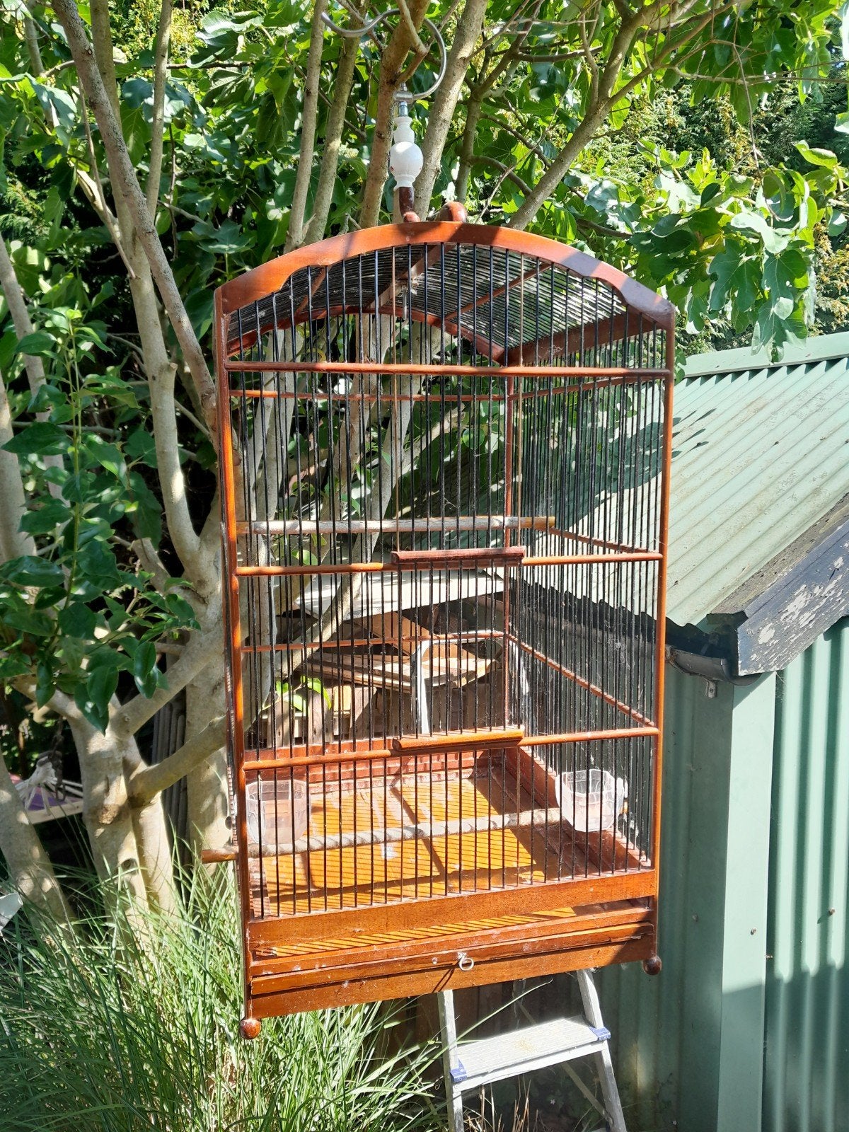houten vogelkooi, Ophalen, Hout, Vogelkooi