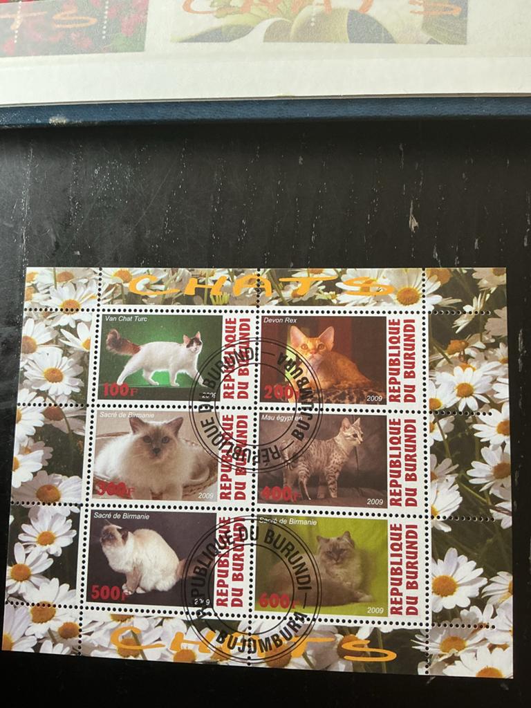 Burundi postzegelvel Katten 2009 - Gestempeld, Verzenden, Overige landen, Gestempeld