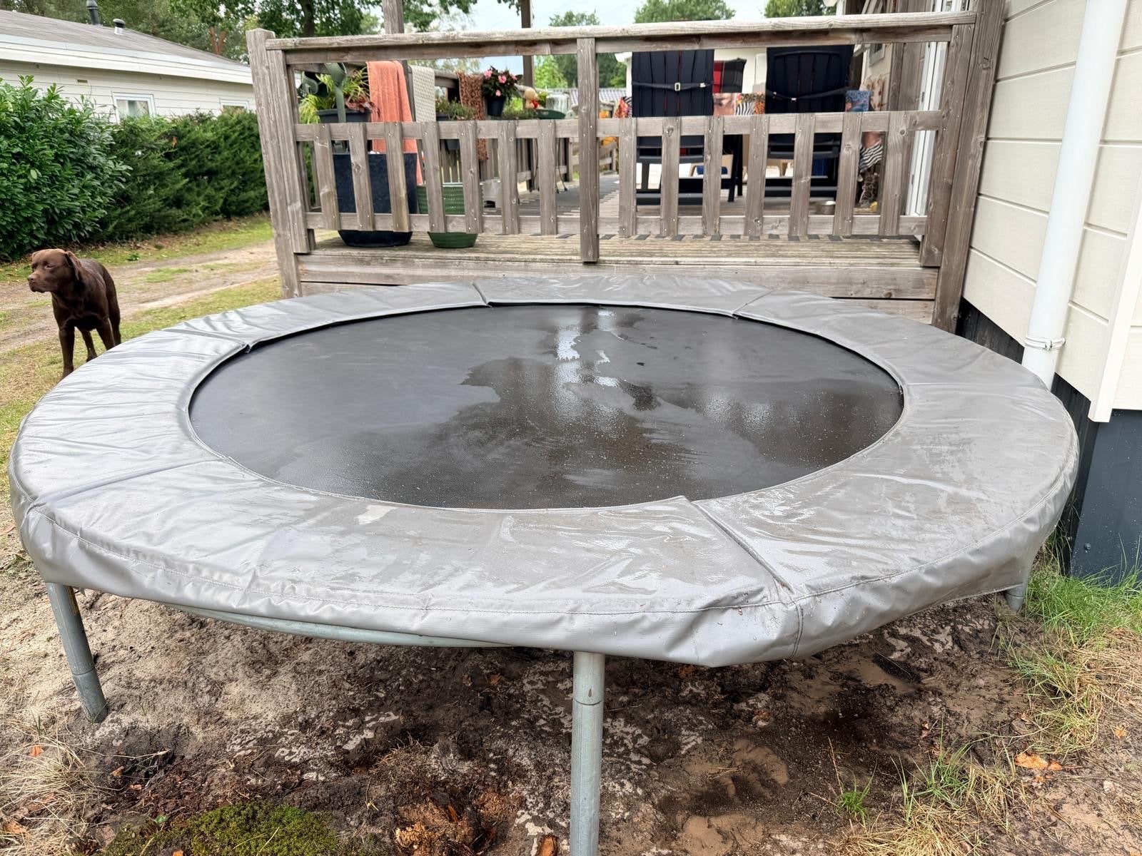 BERG Trampoline met beschermhoes - Gebruikt, Ophalen of Verzenden, Gebruikt