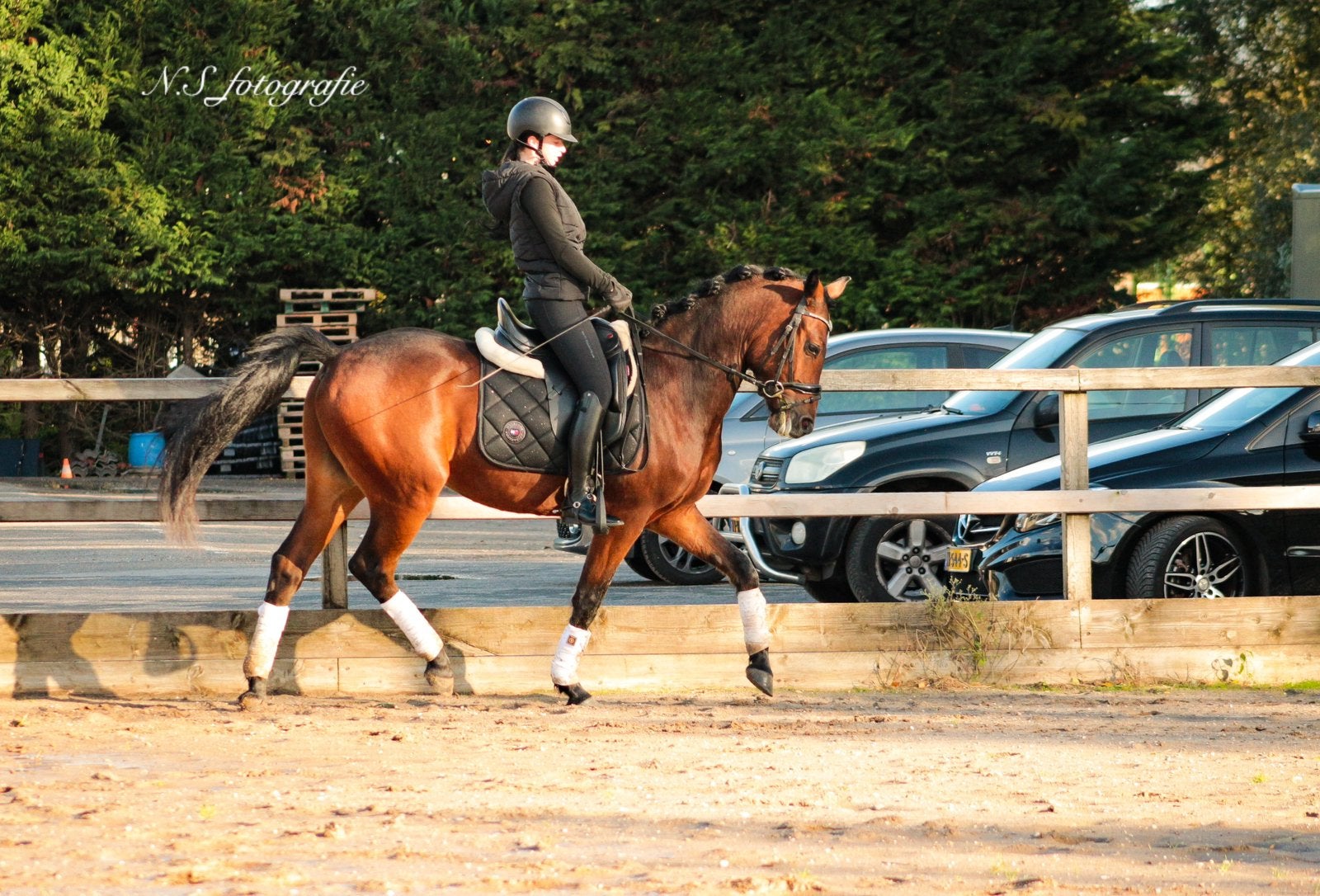 Lieve 3,5 jarige sportpony te koop!, E pony (1.48m - 1.57m), Ruin, Dressuurpony, 3 tot 6 jaar