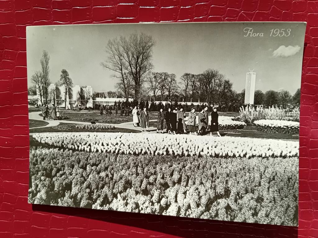 Ansichtkaart Flora 1953, Verzamelen, Ophalen of Verzenden, 1940 tot 1960
