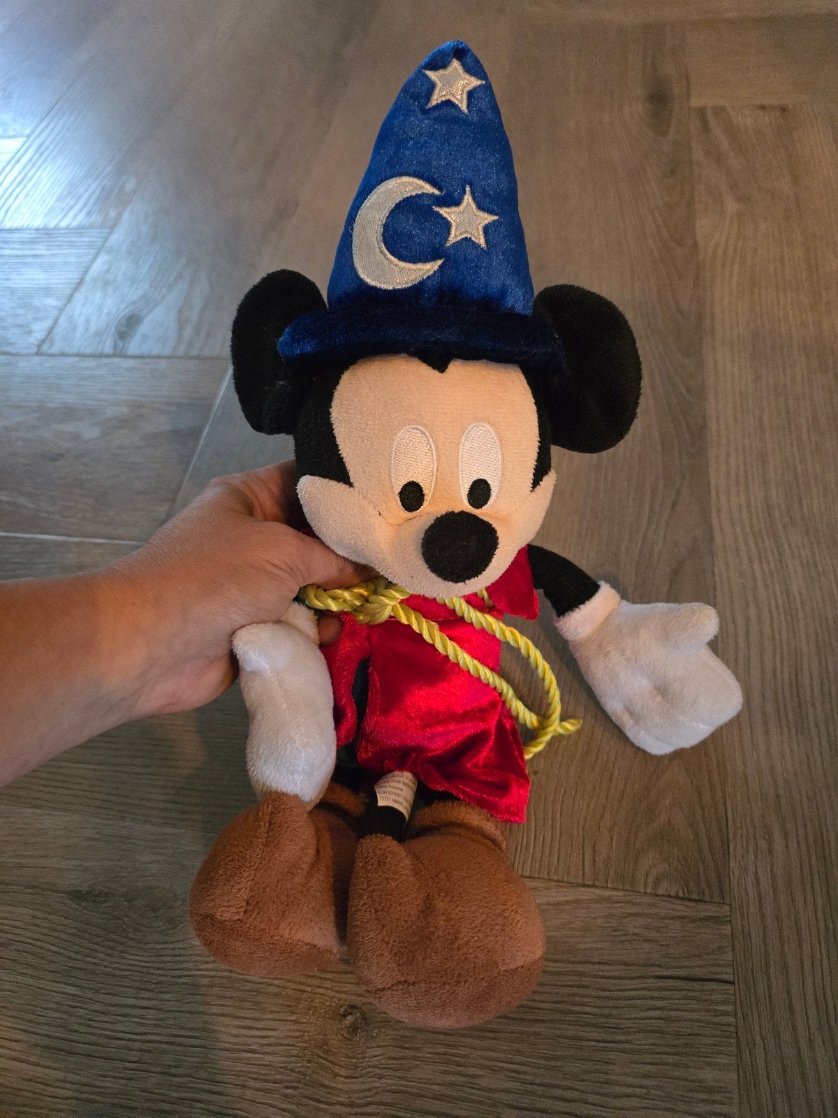 Mickey Mouse knuffel - Disneyland Parijs, Muis, Disney, Disney, Ophalen of Verzenden