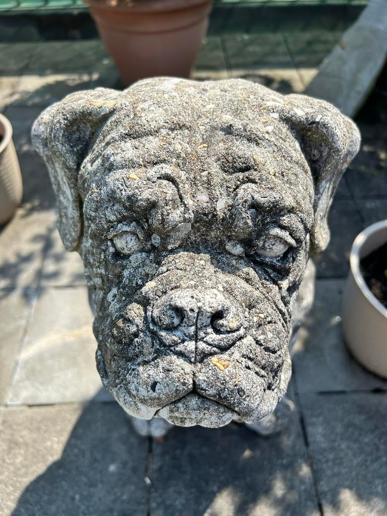 Decoratief Hondenbeeld van Steen voor Tuin of Terras, Ophalen, Zo goed als nieuw, Beton, Dierenbeeld