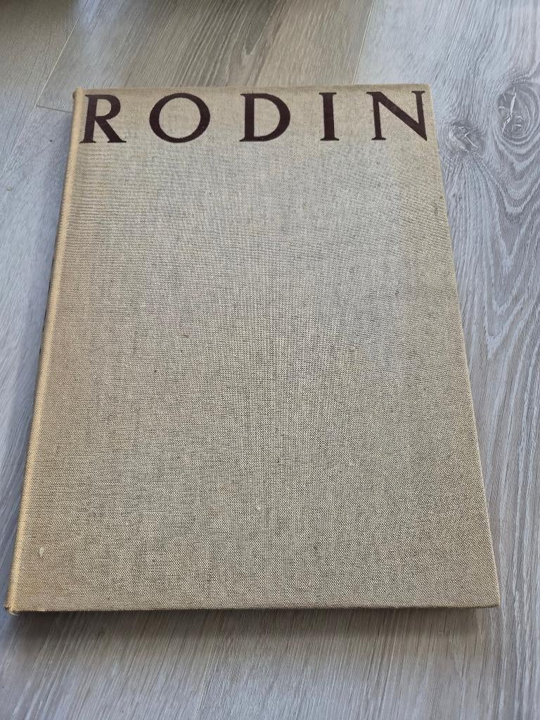Kunst boek" Auguste Rodin" BEELDHOUWWERKEN, Gelezen, Beeldhouwkunst, W.de Haan, Ophalen of Verzenden