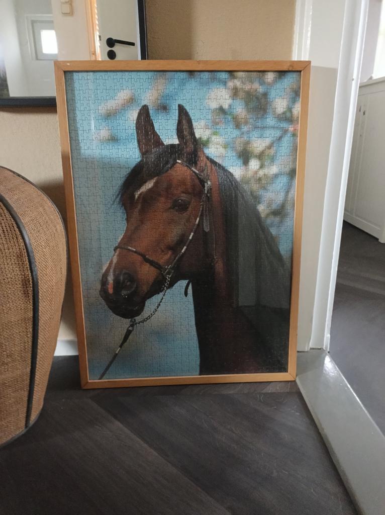 Paarden puzzel in lijst, Ophalen of Verzenden, Minder dan 500 stukjes