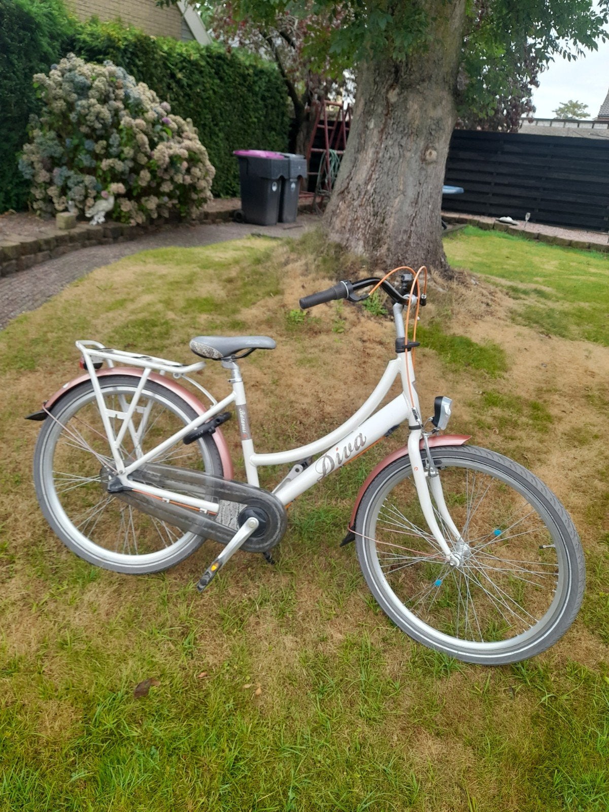 BatavusDiva meisjesfiets - Wit/Roze - Gebruikt, Terugtraprem, Gebruikt, Versnellingen, Batavus