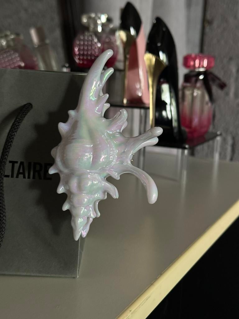 shell-shaped hair clip, Ophalen of Verzenden, Nieuw, Wit, Overige typen