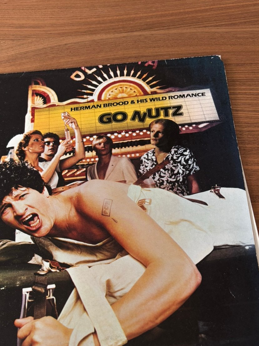 LP HERMAN BROOD & HIS WILD ROMANCE, Cd's en Dvd's, Vinyl | Rock, Ophalen of Verzenden, Zo goed als nieuw, 12 inch, Poprock