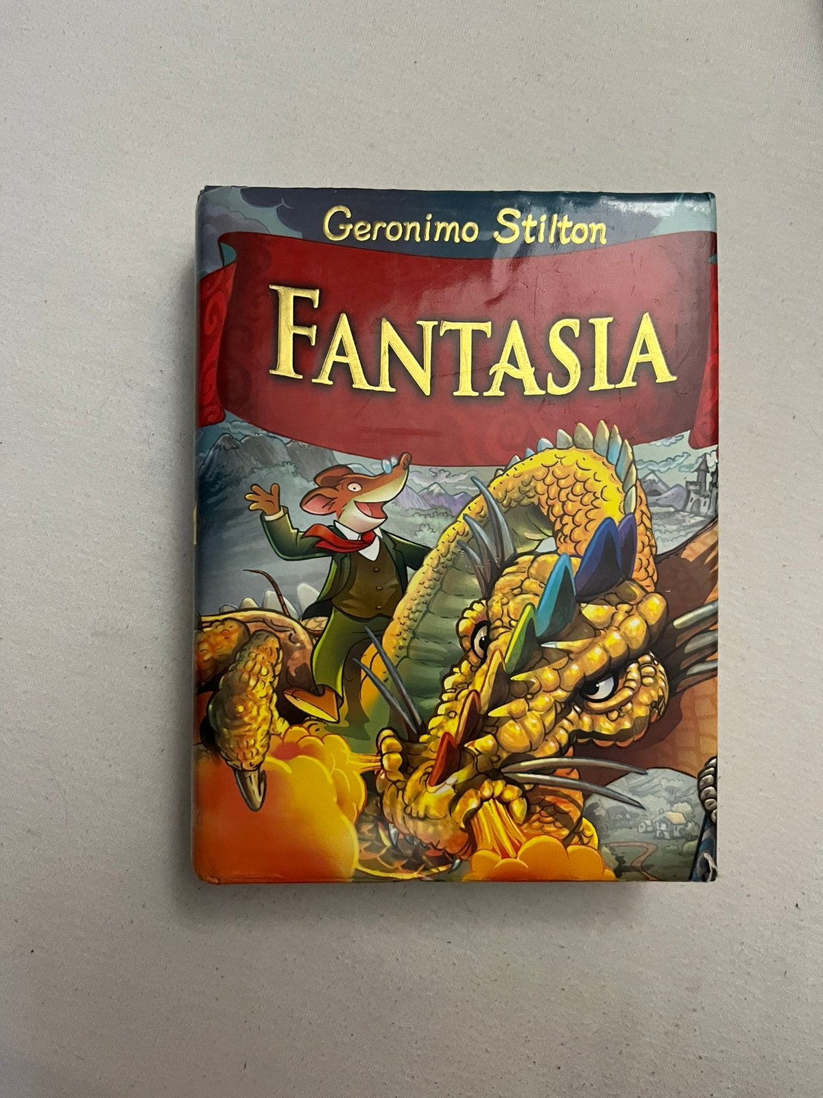 Fantasia boek, Boeken, Ophalen of Verzenden, Zo goed als nieuw