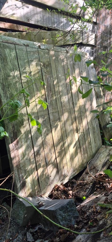 Steenschotten, Doe-het-zelf en Verbouw, Hout en Planken, Gebruikt, Plank, Overige houtsoorten, 250 tot 300 cm, 50 mm of meer, Ophalen
