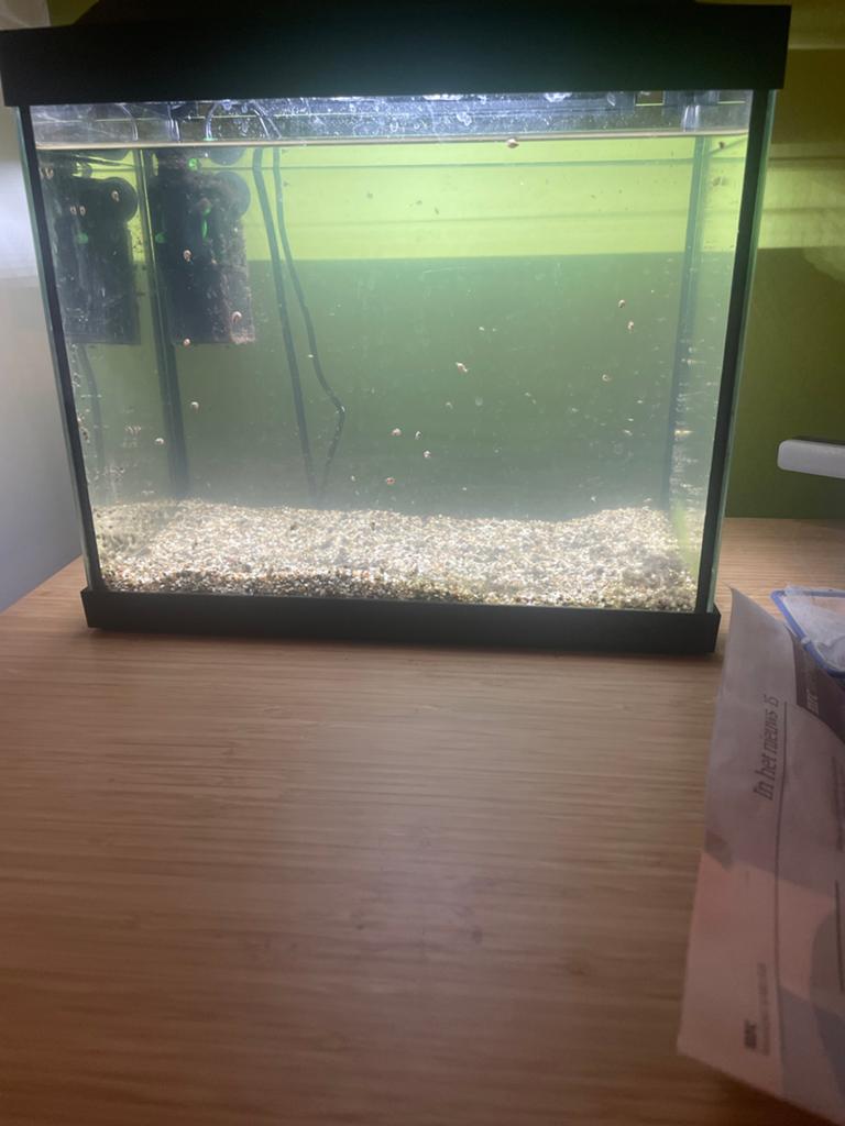 Aquarium, Dieren en Toebehoren, Vissen | Aquaria en Toebehoren, Ophalen of Verzenden, Inclusief deksel, Zo goed als nieuw, Leeg aquarium