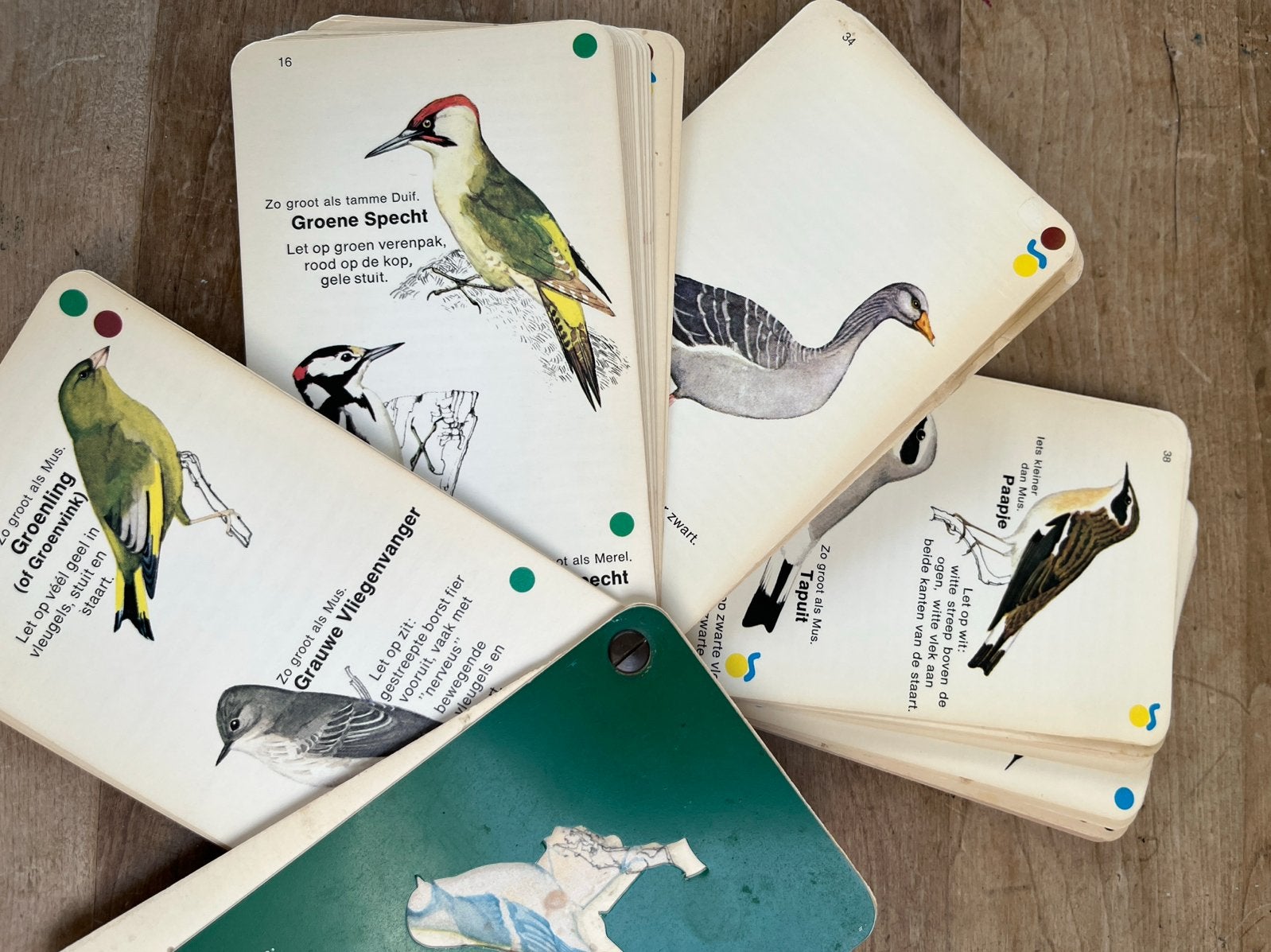 Handige Wandelwaaier over Vogels - Kees Kervels, Ophalen of Verzenden, Gelezen, Vogels
