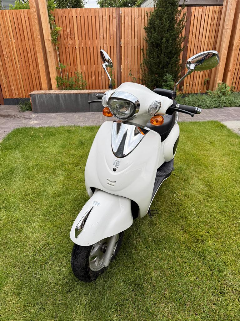 Qwic Evader EV100Metro - Elektrische Scooter (Nieuwe accu), Fietsen en Brommers, Snorfietsen en Snorscooters, Gebruikt, Overige merken