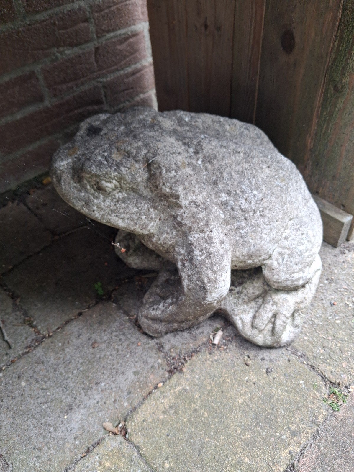 Grote kikker  voor in de tuin hoogte 25 breedte  30, Ophalen, Gebruikt, Beton, Dierenbeeld
