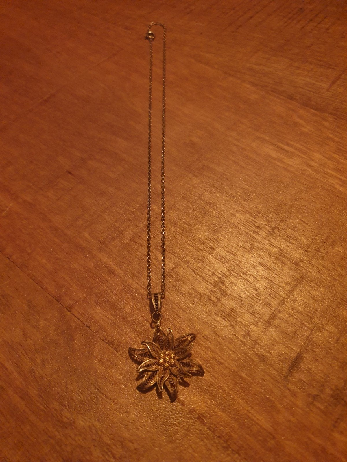 Zilveren Edelweiss Hanger, Gebruikt, Ophalen of Verzenden, Bloem of Plant, Zilver