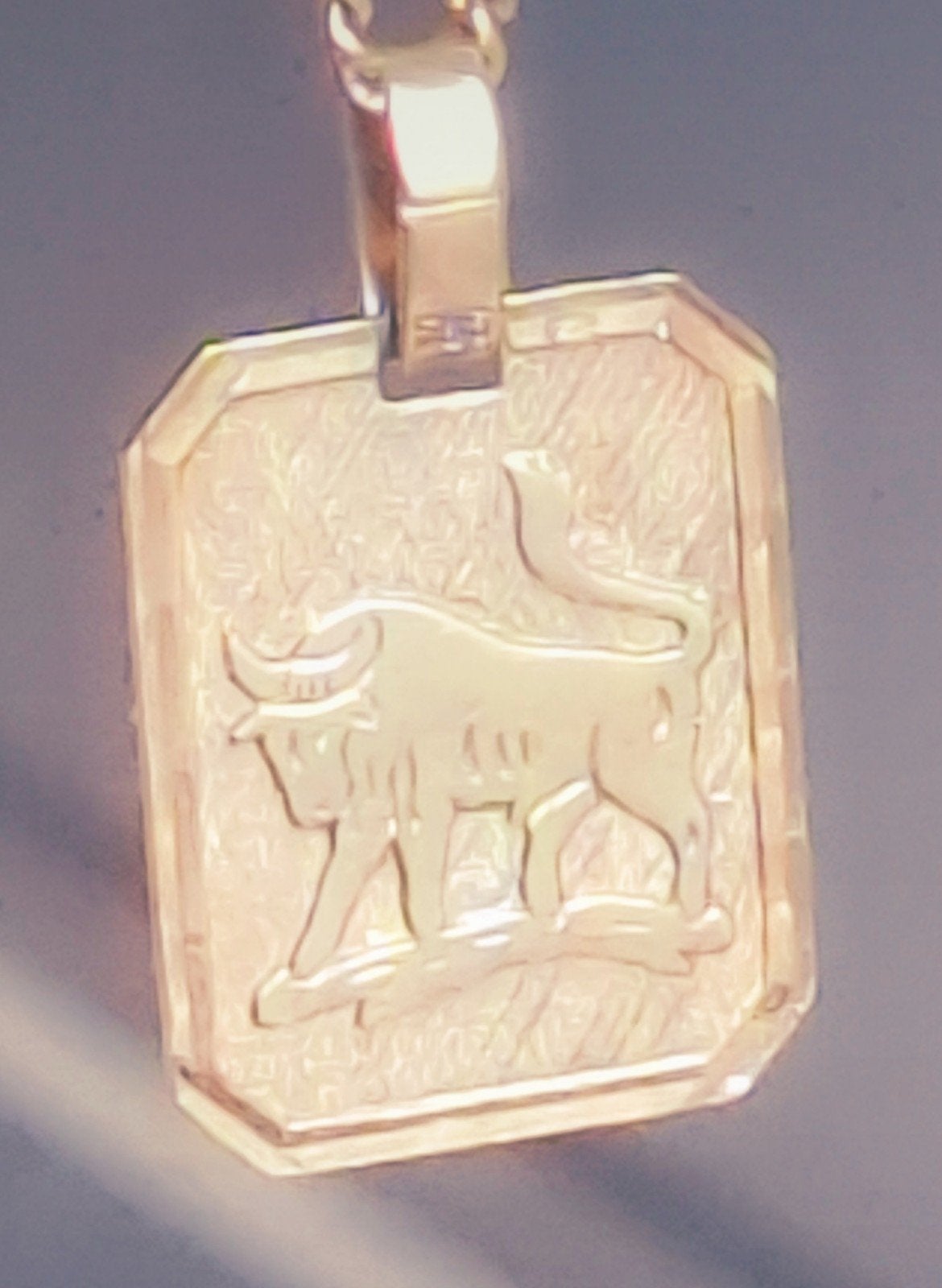 Gouden Stier Sterrenbeeld Hanger - 2.6 gram, Gebruikt, Ophalen of Verzenden, Goud, Goud