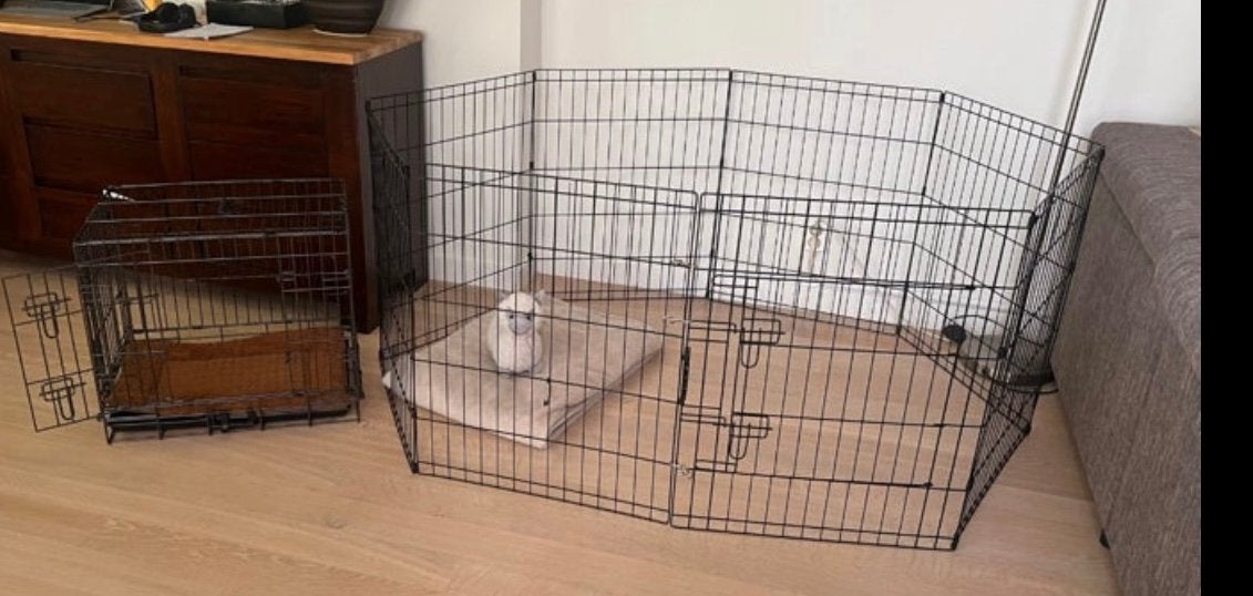 Bench en ren kleine hind of pup, Ophalen, Zo goed als nieuw