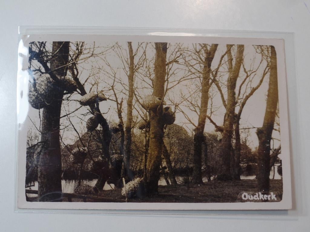 Fotokaart Oudkerk eendenkorf, Verzenden, 1920 tot 1940, Gelopen, Friesland