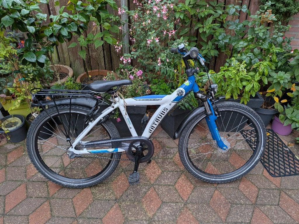 Batavus Snake 24# 3V, Ophalen, Terugtraprem, Batavus, Handrem