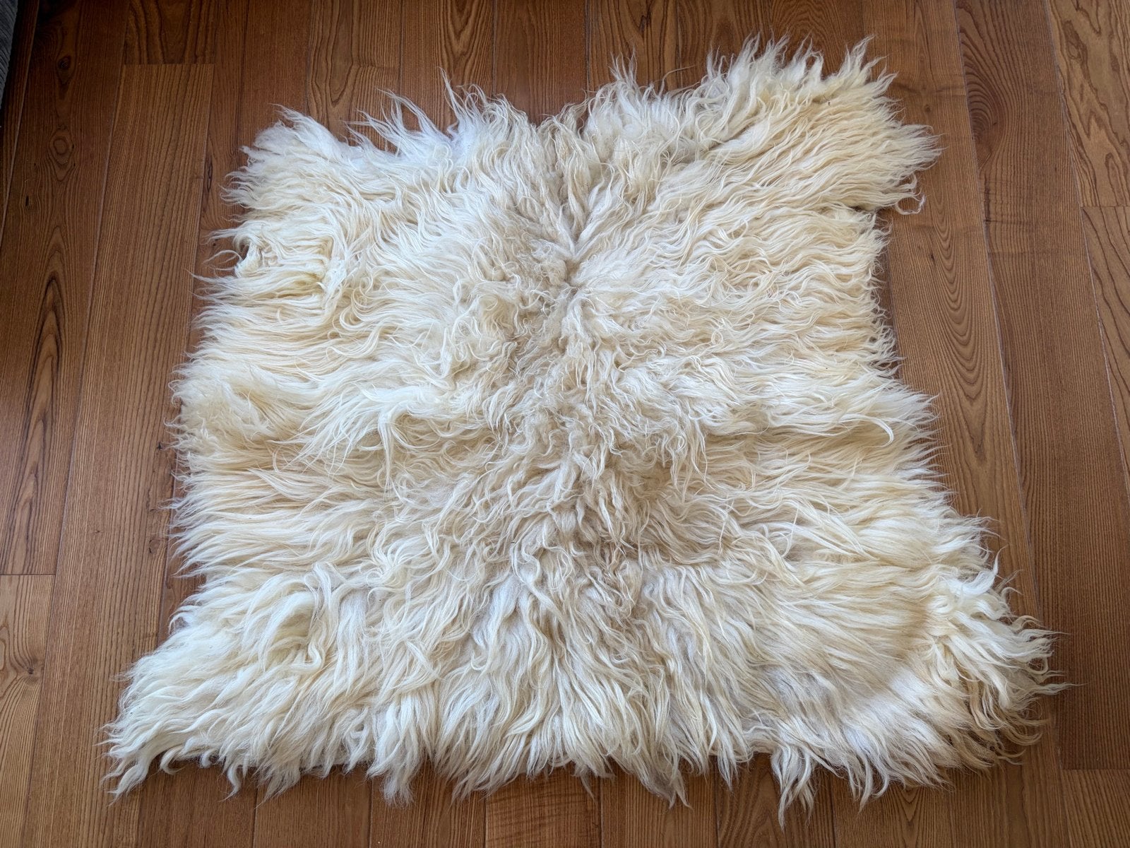 Schapenvacht 110x100 cm, 100 cm, Gebruikt, Wit, Handgemaakt