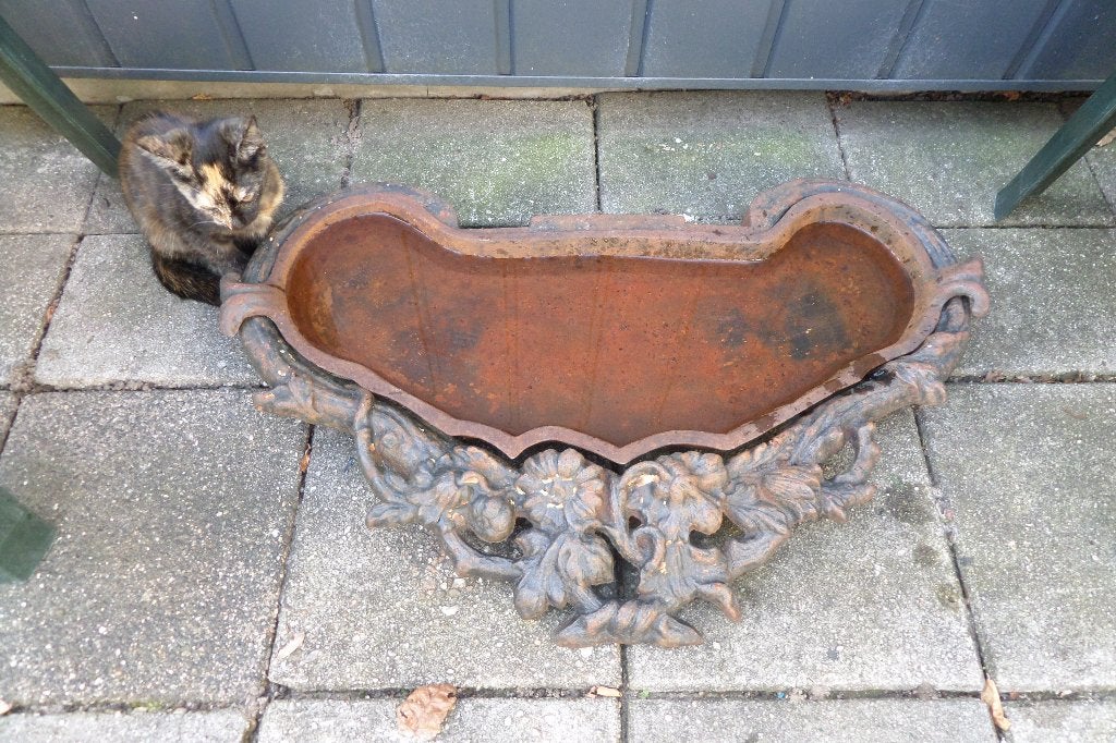 Vogeldrinkbak - Antiek - Victoriaanse stijl - 19e eeuw, Ophalen