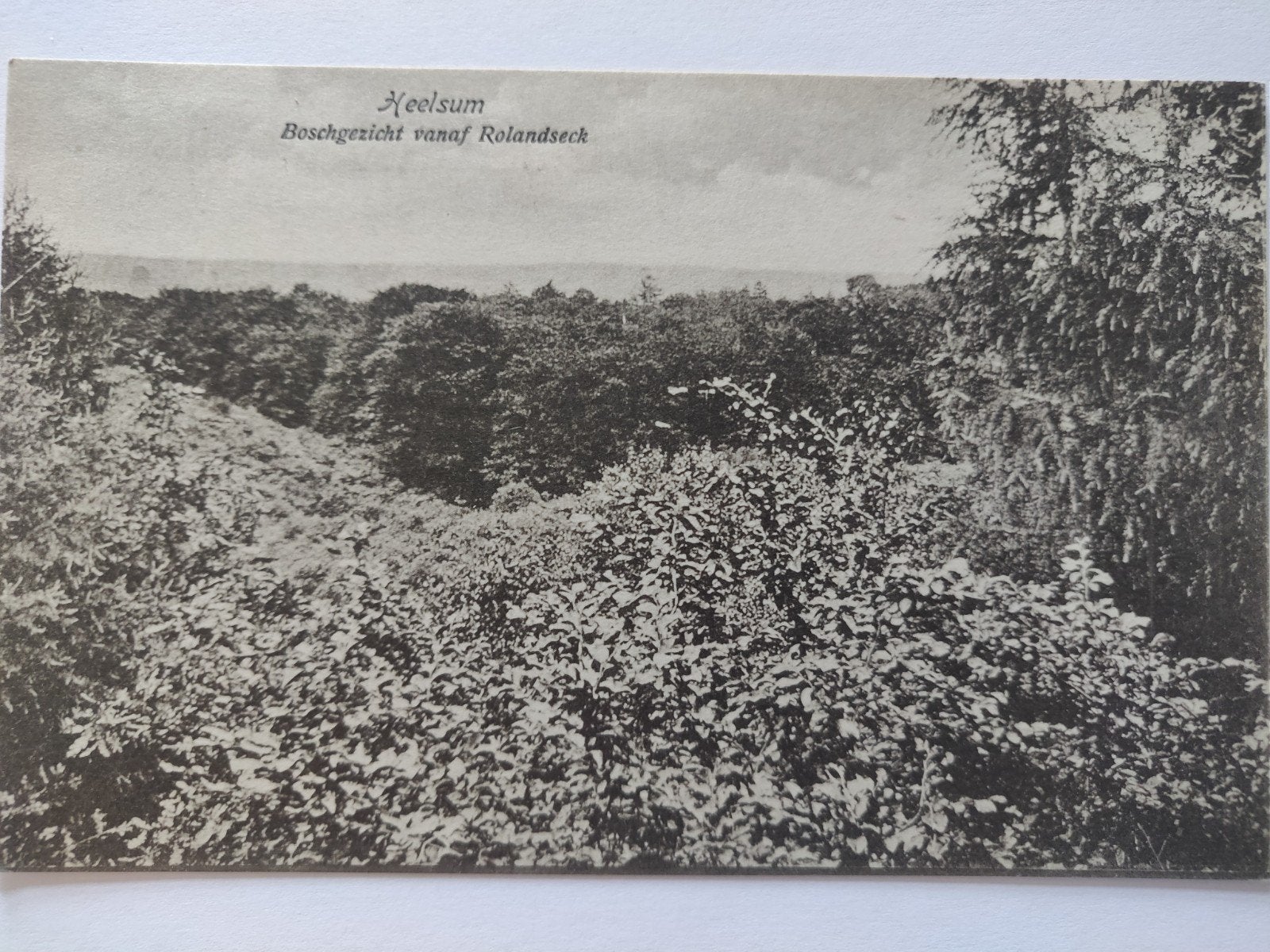 C1334 Heelsum 1918, Ophalen of Verzenden, 1920 tot 1940
