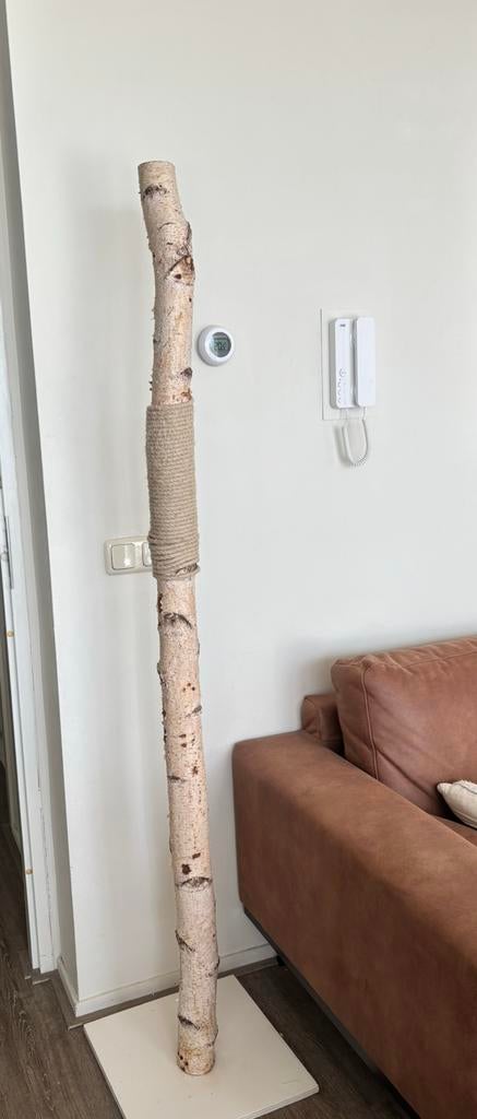 Krabpaal berkenstam, Ophalen, Gebruikt, 150 tot 200 cm