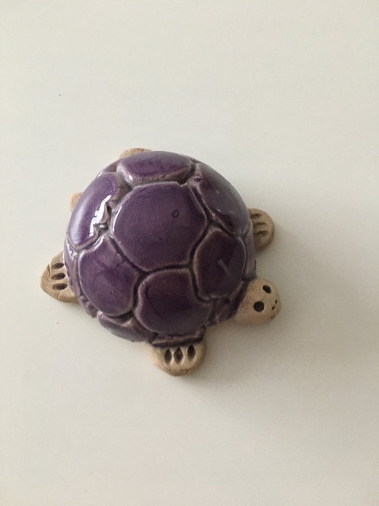 Een paars schildpadje, Ophalen of Verzenden, Gebruikt, Dier