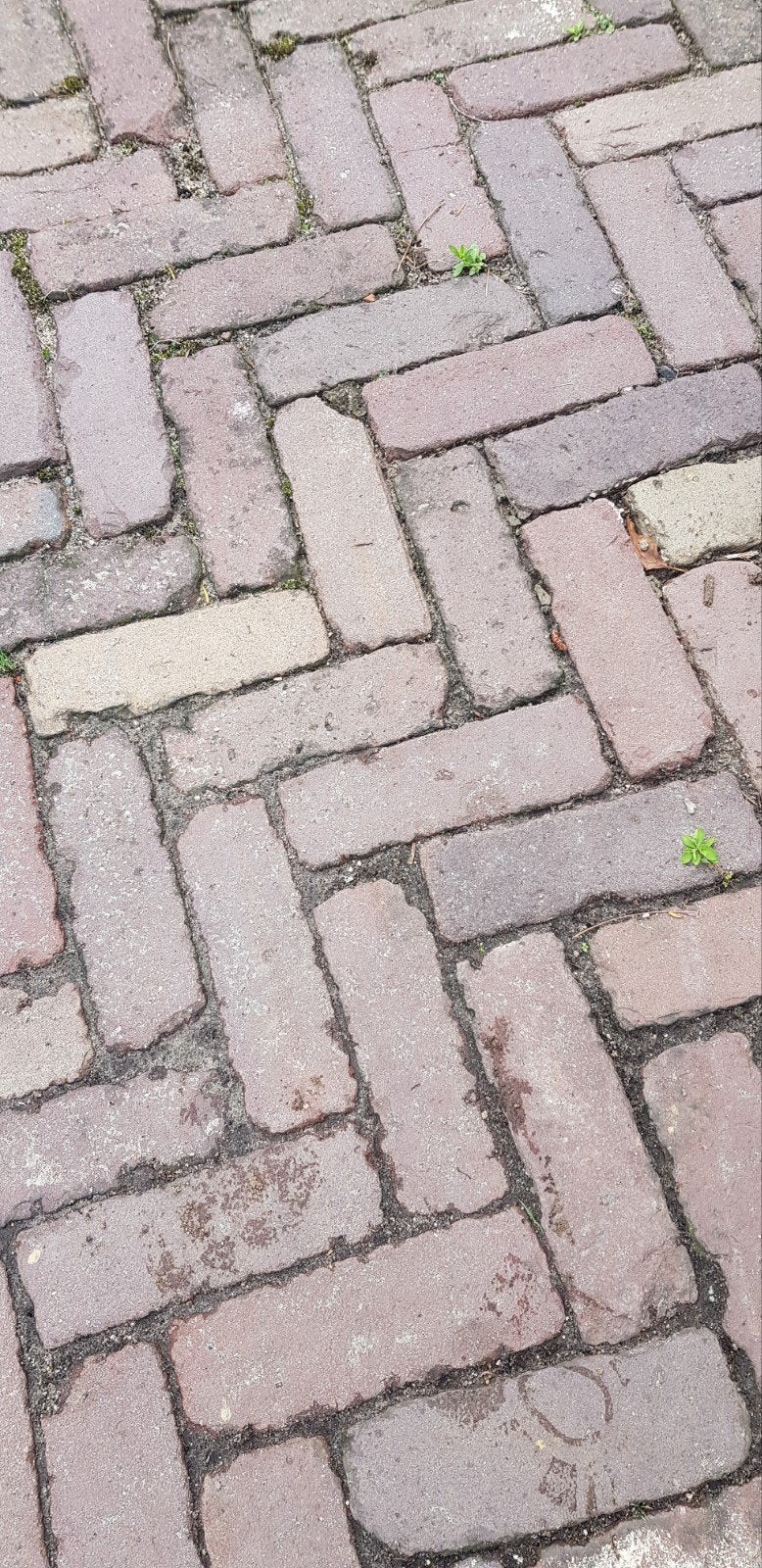 ✅️🧱MOOIE DIKFORMATEN.  ●GEBAKKEN ZEVENDUIMERS ●, Ophalen, Gebruikt, Keramiek, Klinkers