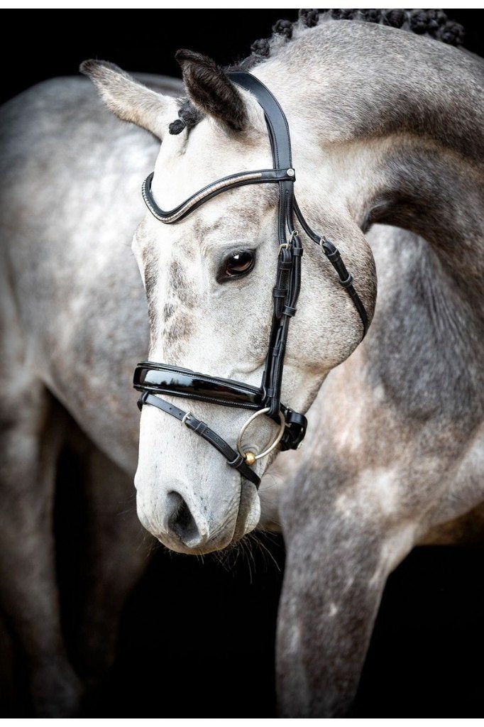 Montar Normandie Deluxe Hoofdstel, Zwart, Cob en Full, Dieren en Toebehoren, Paarden en Pony's | Hoofdstellen en Tuigage, Hoofdstel