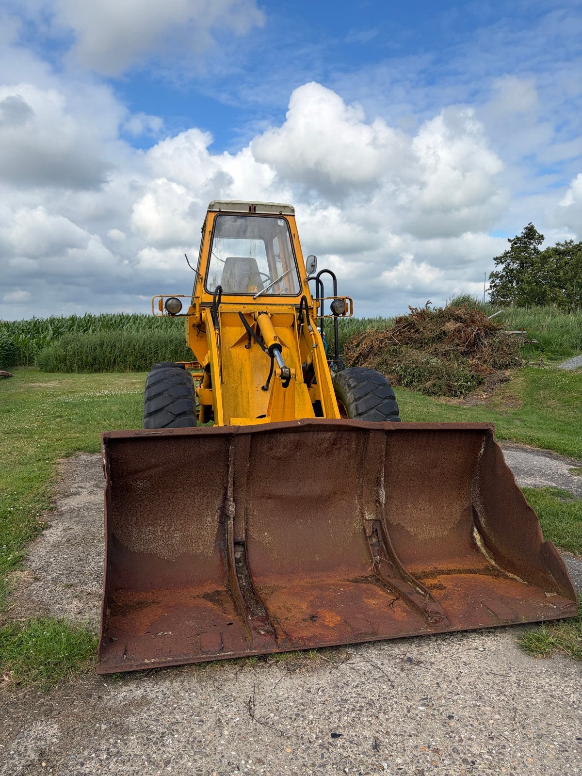 Degelijke Wiellader / Shovel International - Geen kenteken, Ophalen, Wiellader of Shovel