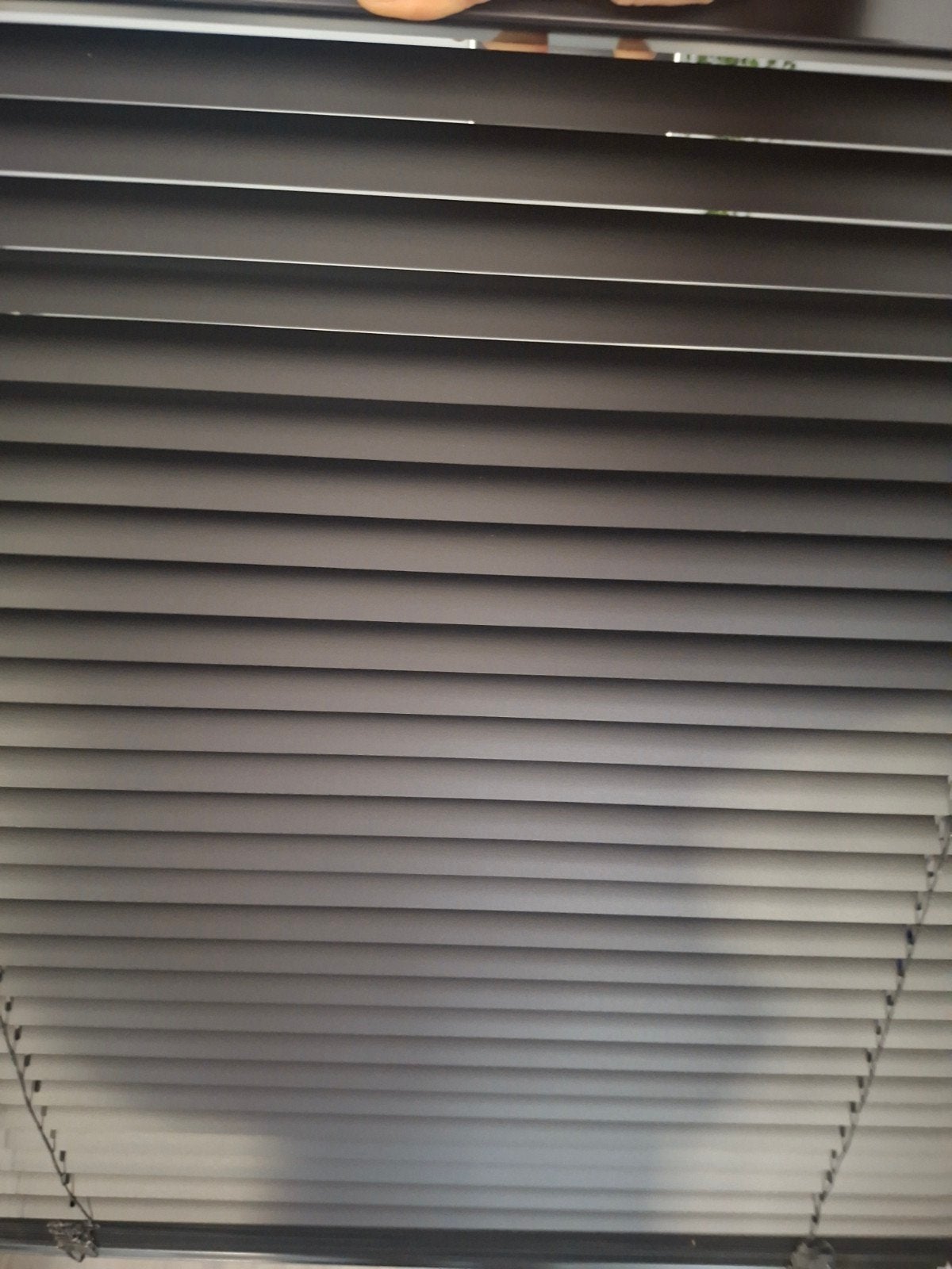 Nieuwe zwarte jaloezieën 63x155 cm (2 stuks), Ophalen of Verzenden, Nieuw, Zwart, Jaloezie