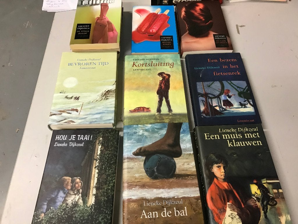 T.K. nog 10 boeken van Lieneke Dijkzeul Zie actuele lijst, Ophalen of Verzenden, Gelezen, Lieneke Dijkzeul, Nederland